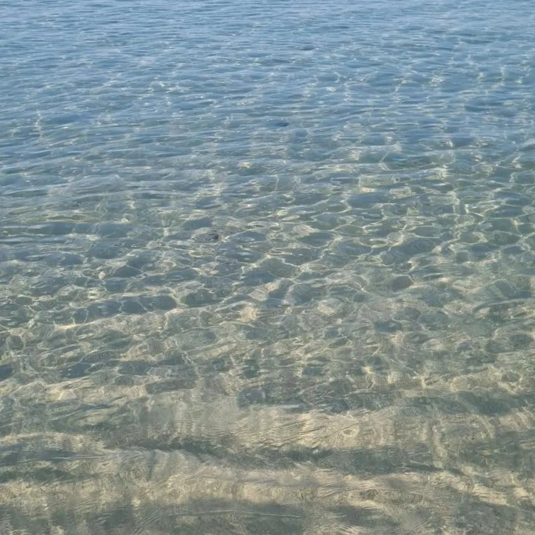 La Casetta Di Isola Isola delle Femmine